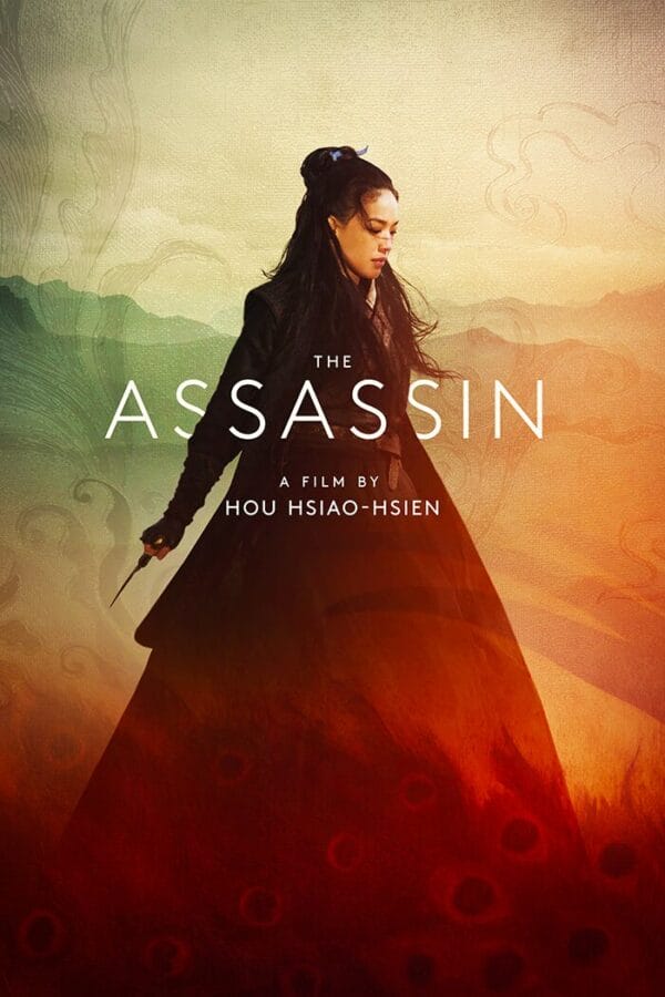 Affiche du film "The assasin"